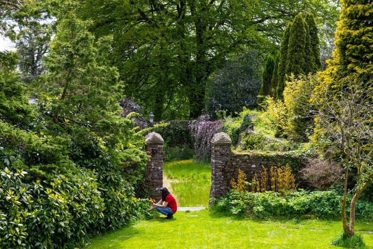 Swansea Valley Farm stay Cilybebyll