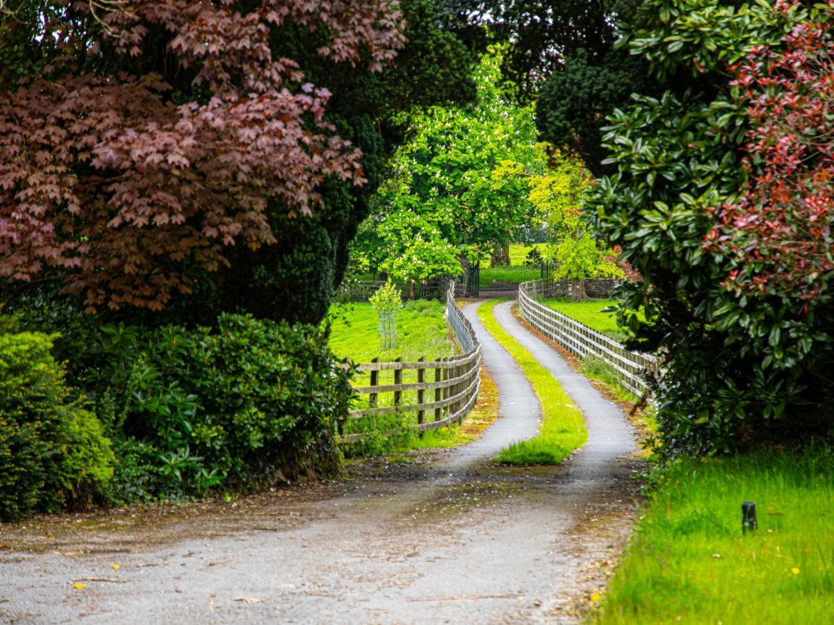 Swansea Valley * Cilybebyll