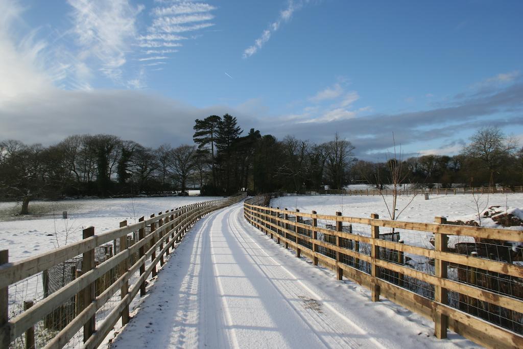 Swansea Valley *