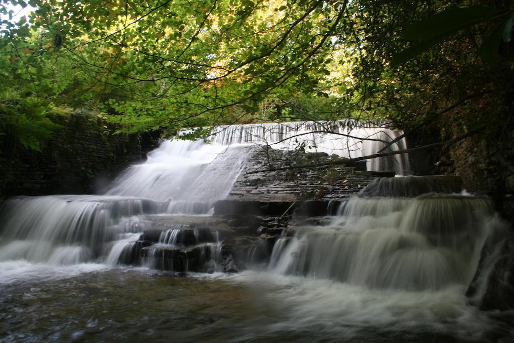 Swansea Valley