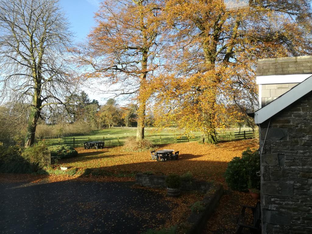 Alloggio per agriturismo Swansea Valley Cilybebyll